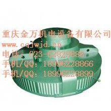 T、TL系列電機(jī)