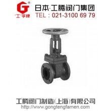 進口襯膠閘閥