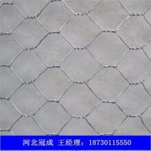 現(xiàn)貨供應重型六角網(wǎng)_重型六角網(wǎng)批發(fā)價格